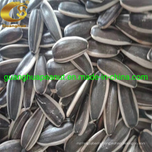 Export Quality Sunflower Seeds From Shandong Manufacture